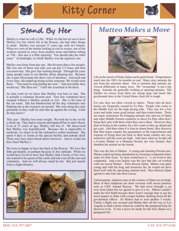 newsletters-life-animal-rescue
